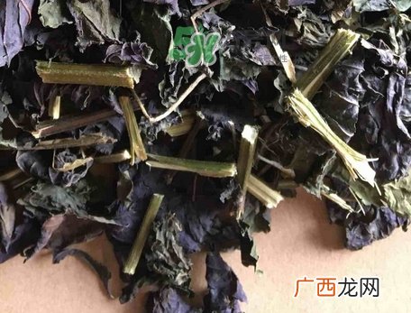 紫苏叶泡脚适合哪些人_紫苏叶泡脚不适合哪些人