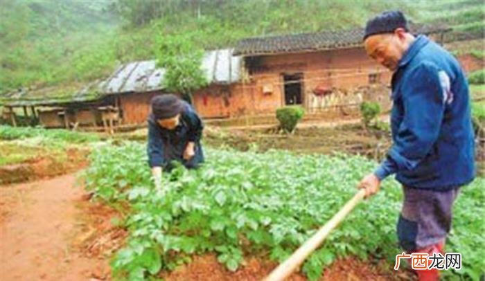 经典爱情小故事，被评为中国十大经典爱情故事