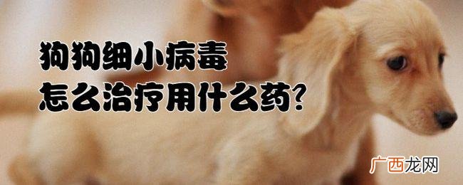 学完兽医还是不会看病 兽医治病技术视频