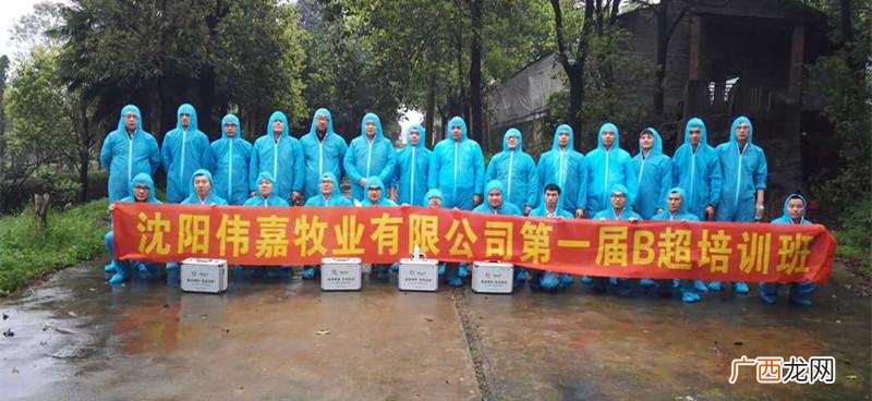 沈阳伟嘉兽药大全 沈阳伟嘉牧业技术有限公司的点评