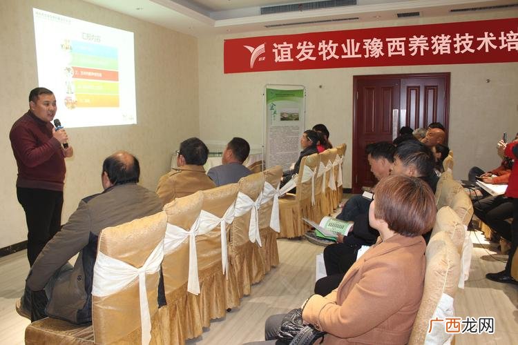 养猪知识技术方法培训 养猪技术培训班