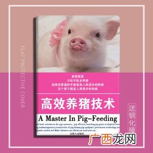 养猪知识技术方法培训 养猪技术培训班