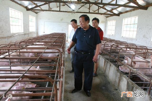 养猪知识技术方法培训 养猪技术培训班