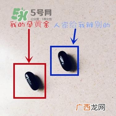 blackmores澳佳宝真假辨别_blackmores澳佳宝真伪查询