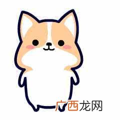 小区物业管理费包括哪些？赶紧涨涨知识吧