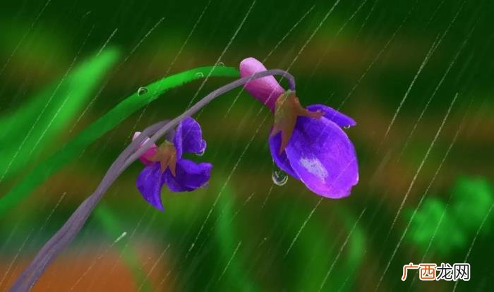 你就不知道春雨有多美 春雨优美的句子