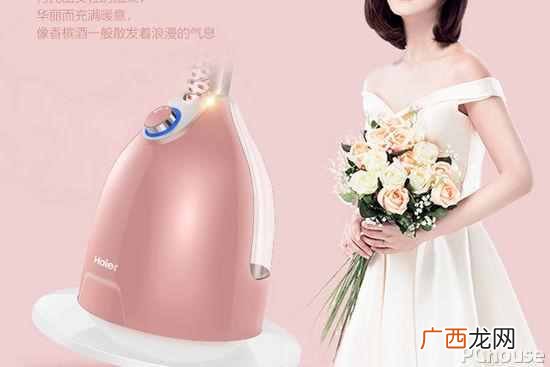 蒸汽挂烫机哪个牌子好？推荐2018家用挂烫机性价
