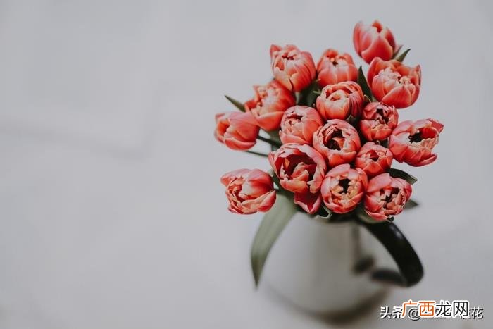 巨蟹女暧昧和真心区分,巨蟹座真心爱一个人
