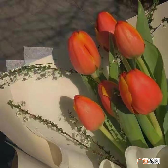 往往难逃这4个表现 女人出轨表现在几方面