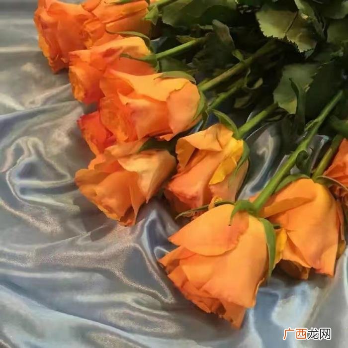 往往难逃这4个表现 女人出轨表现在几方面