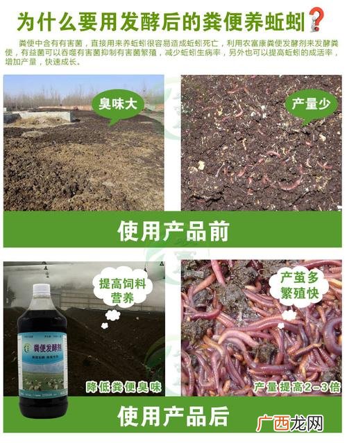 牛粪养殖蚯蚓技术视频 猪粪养殖蚯蚓技术视频