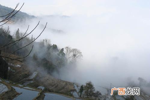 养牛书籍大全在线阅读 养牛场技术