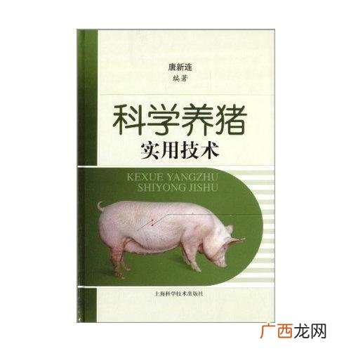 高效养猪技术 养猪致富技术