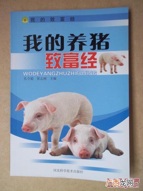 高效养猪技术 养猪致富技术