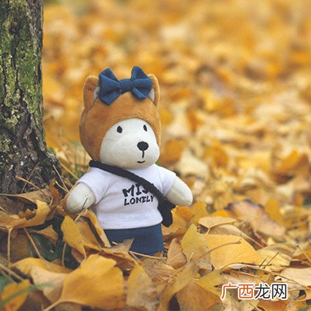 情人节送单身狗这些礼物造成1万点暴击