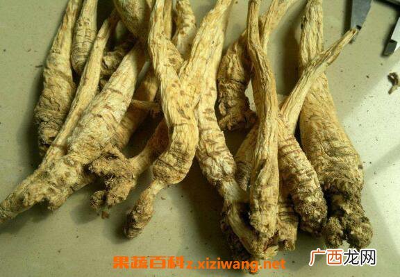 南沙参和北沙参的区别