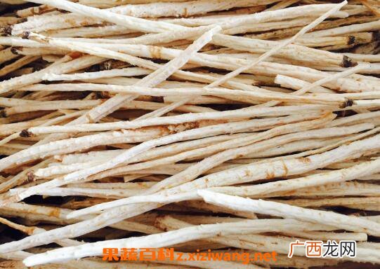 南沙参和北沙参的区别