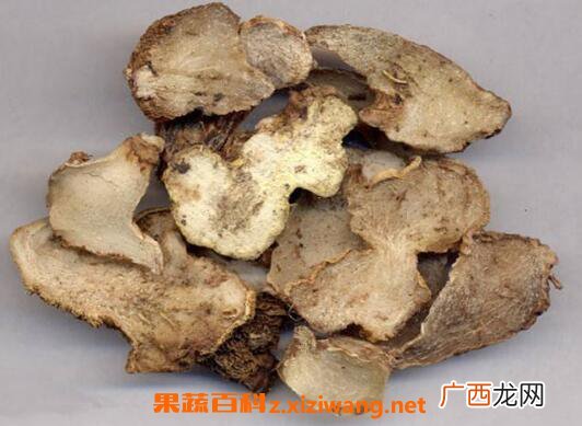 白芨的功效与作用 白芨的药用价值