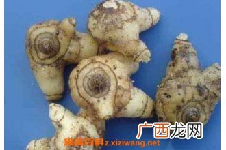白芨的功效与作用 白芨的药用价值