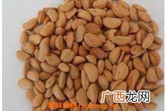 山楂核的功效与作用及药用价值