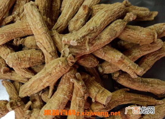 赤芍的功效与作用 赤芍的药用价值