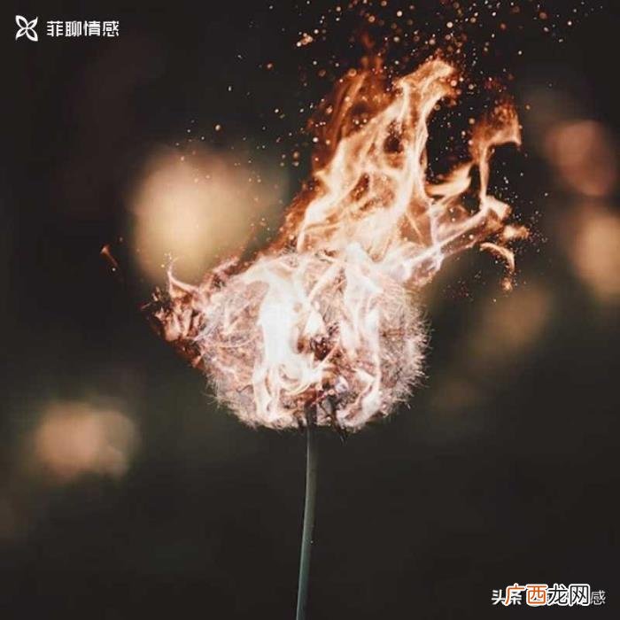 伤了最爱的人怎么挽回，伤害了一个人怎么挽回