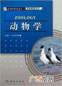 畜牧兽医技术员招聘 哪个羊厂招技术员兽医