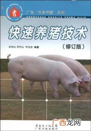 黑猪都是母猪吗 黑母猪养殖技术