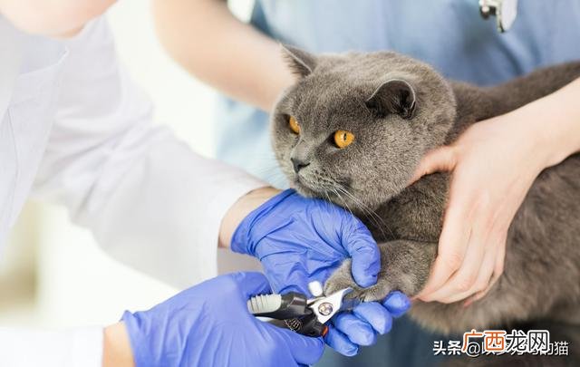 22岁0基础学什么技术好,女生什么行业前景好最赚钱