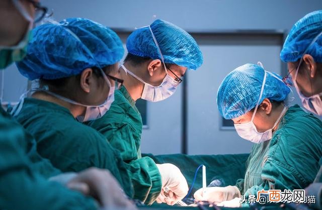 22岁0基础学什么技术好,女生什么行业前景好最赚钱