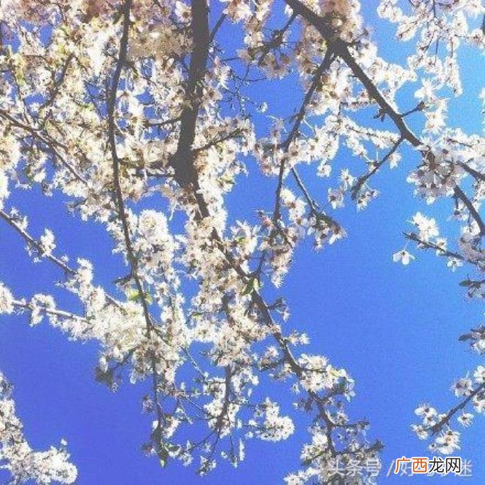 最近快手很火的经典句子 快手上很火的文字