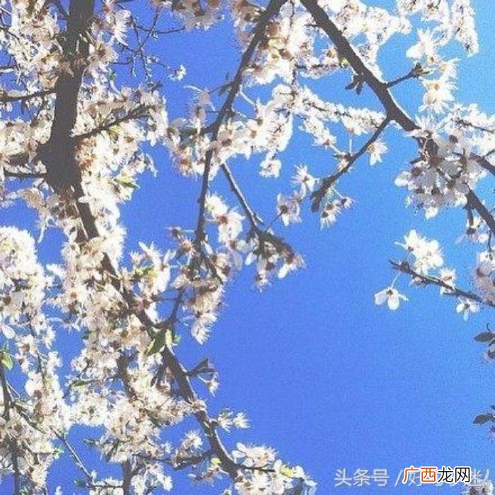 最近快手很火的经典句子 快手上很火的文字