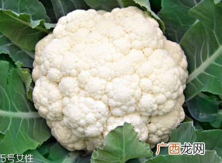 花菜在冰箱能放几天？不要超过7天