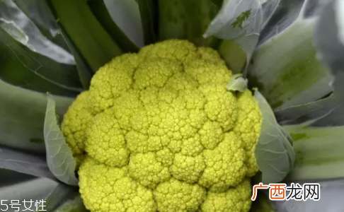 花菜在冰箱能放几天？不要超过7天