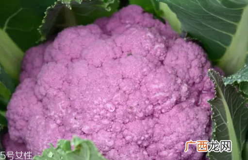 花菜在冰箱能放几天？不要超过7天