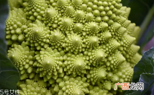 花菜在冰箱能放几天？不要超过7天