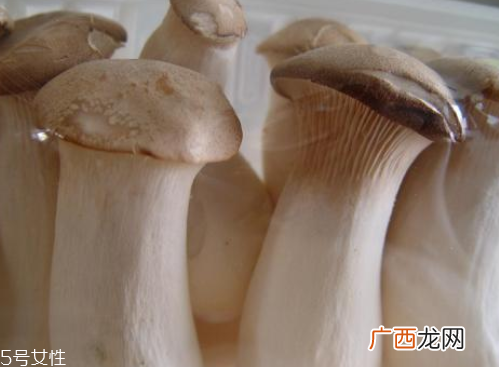 杏鲍菇生酶了能吃吗？长毛了也能吃