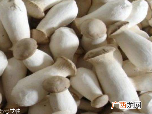 杏鲍菇生酶了能吃吗？长毛了也能吃