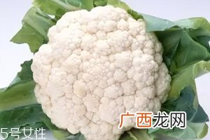 花椰菜吃的是什么部位?花苞部位最营养