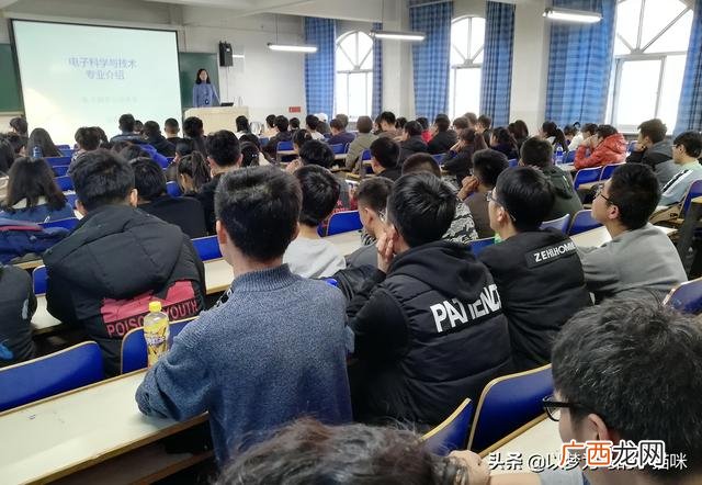 做什么赚钱最快最稳,学什么技术好有前途