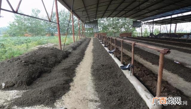 适合穷人没本钱的养殖,适合家庭致富的小生意
