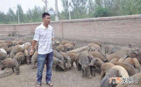 适合穷人没本钱的养殖,适合家庭致富的小生意