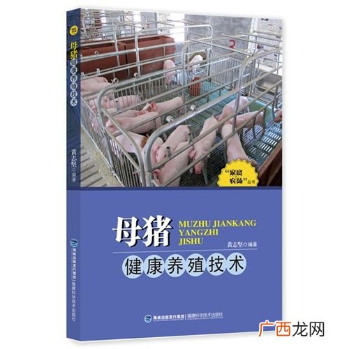 养好母猪技术大全 黑母猪养殖技术大全