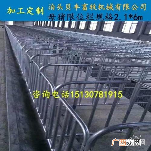 自制水泥母猪产床视频 母猪限位栏技术视频