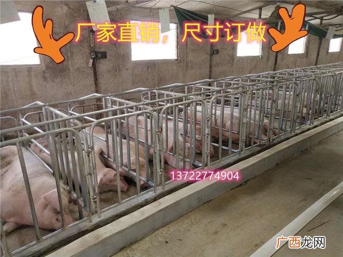 自制水泥母猪产床视频 母猪限位栏技术视频
