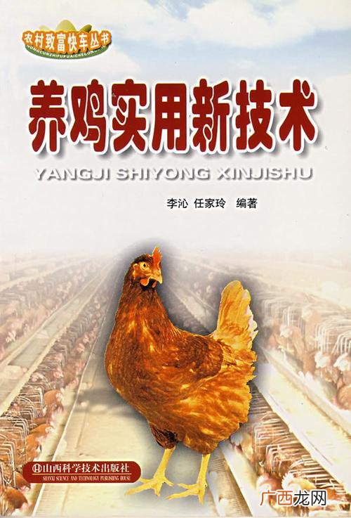 新手想学养鸡技术在哪里可以学 想学养鸡的技术