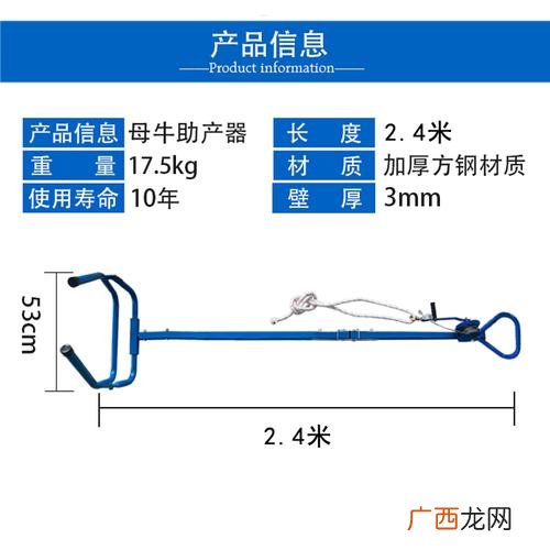 母牛生小牛怎样助产是正确的 视频母牛助产技术