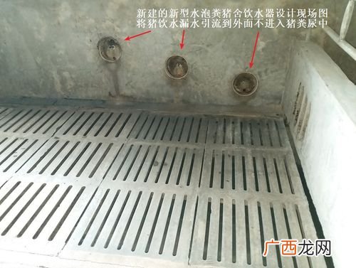 水泡粪污水怎么处理 水泡粪养猪技术