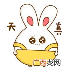 无抵押无担保贷款,无抵押无担保个人贷款