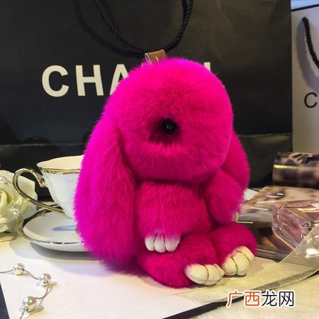 送女生的兔子周边礼物大全